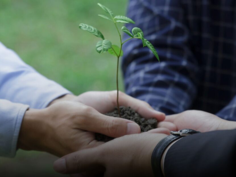 A Importância da Inovação na Indústria Química para a Sustentabilidade Ambiental