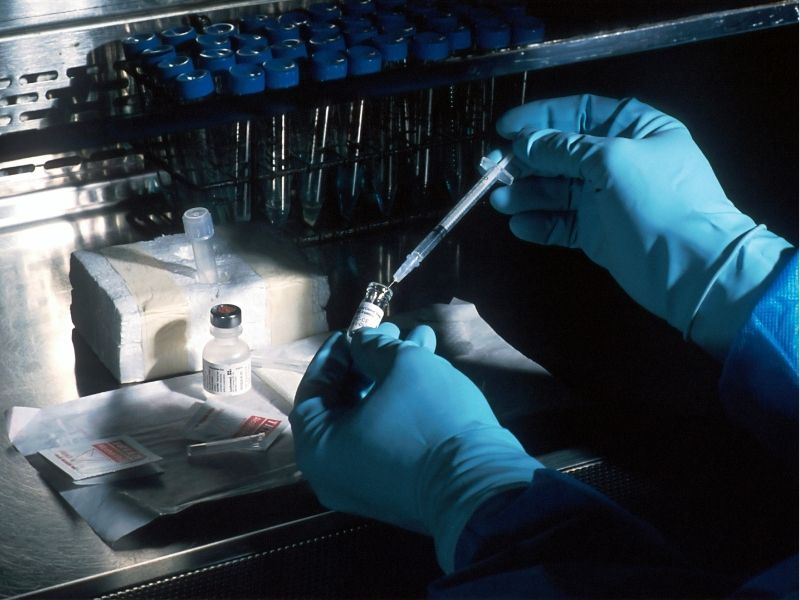 Biotecnologia na Indústria e em Nossas Vidas